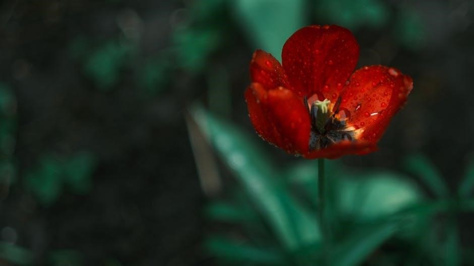 newcomb’s wildflower guide